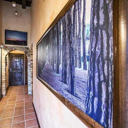 Bed and breakfast Agriturismo Col Morino Pineto