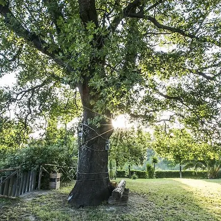 Agriturismo Col Morino Pineto