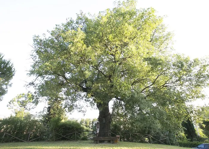 Agriturismo Col Morino Pineto